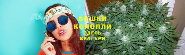 амф Карпинск