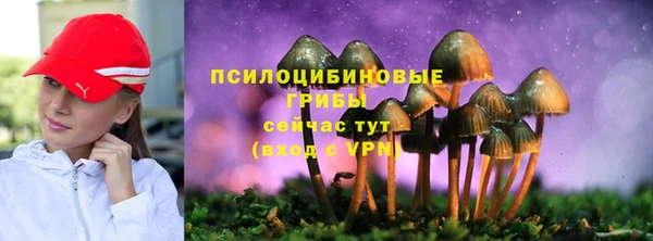 ПСИЛОЦИБИНОВЫЕ ГРИБЫ Каменногорск
