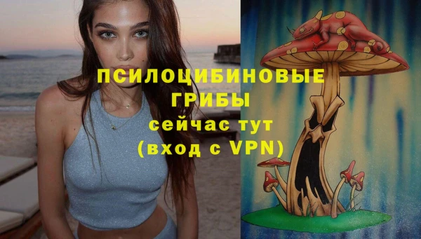спиды Касимов
