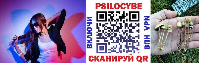 Псилоцибиновые грибы Magic Shrooms как найти наркотики Краснокаменск