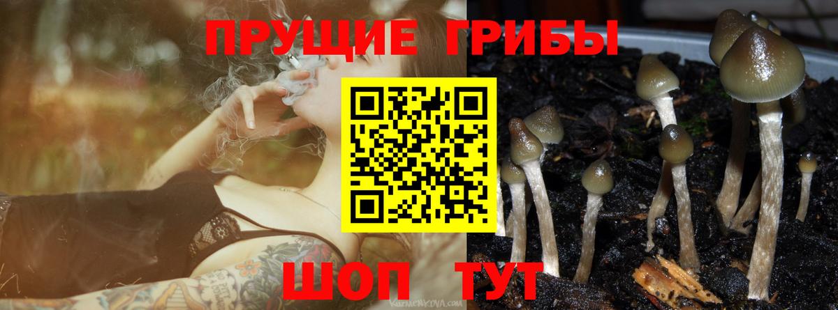Псилоцибиновые грибы ЛСД  Вход с VPN  Краснокаменск 